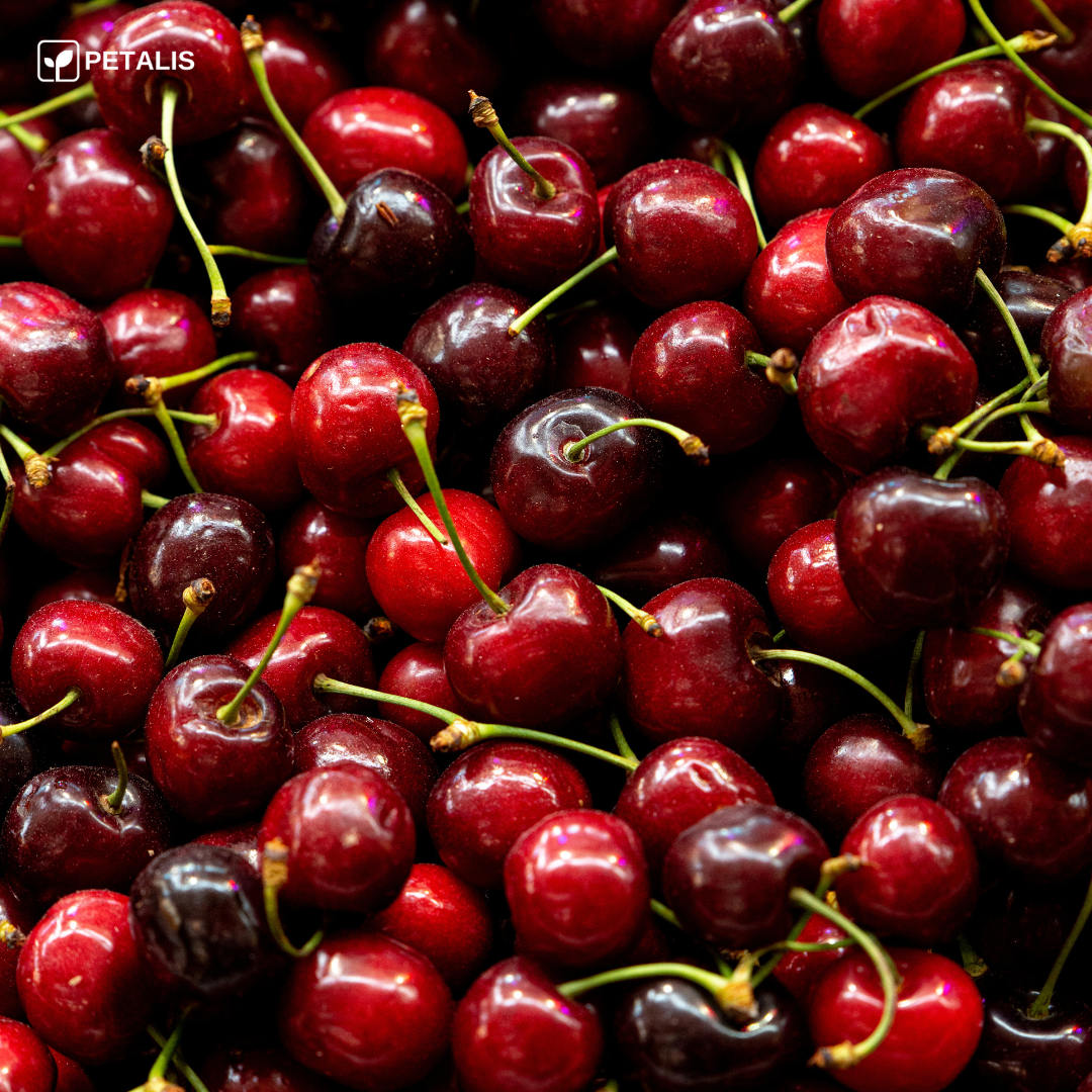 Semillas de cereza Petalis